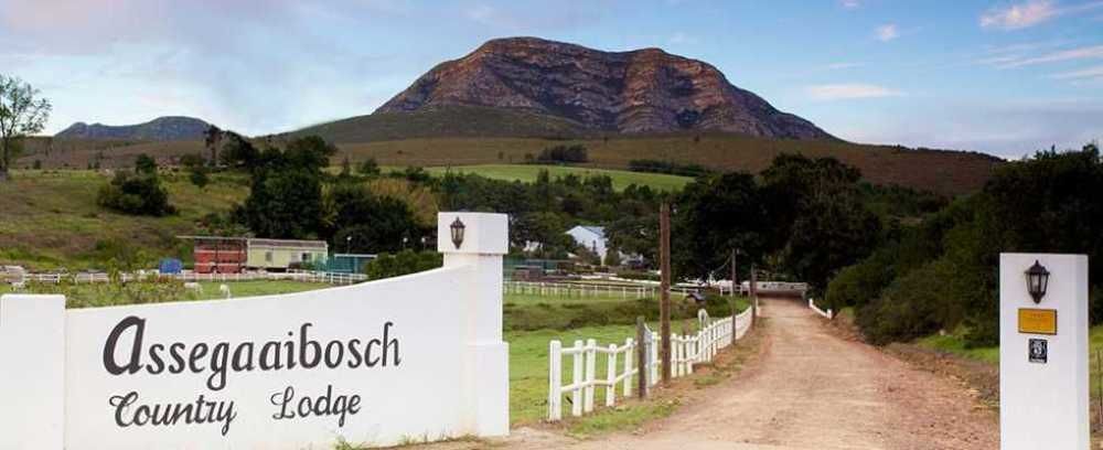 Assegaaibosch Country Lodge Kareedouw Esterno foto